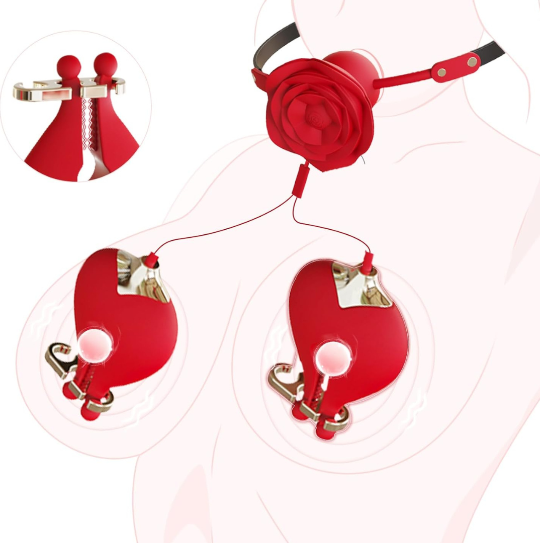 Tease & Tame Mouth Gag With Nipple Clamps Fantasy Set
