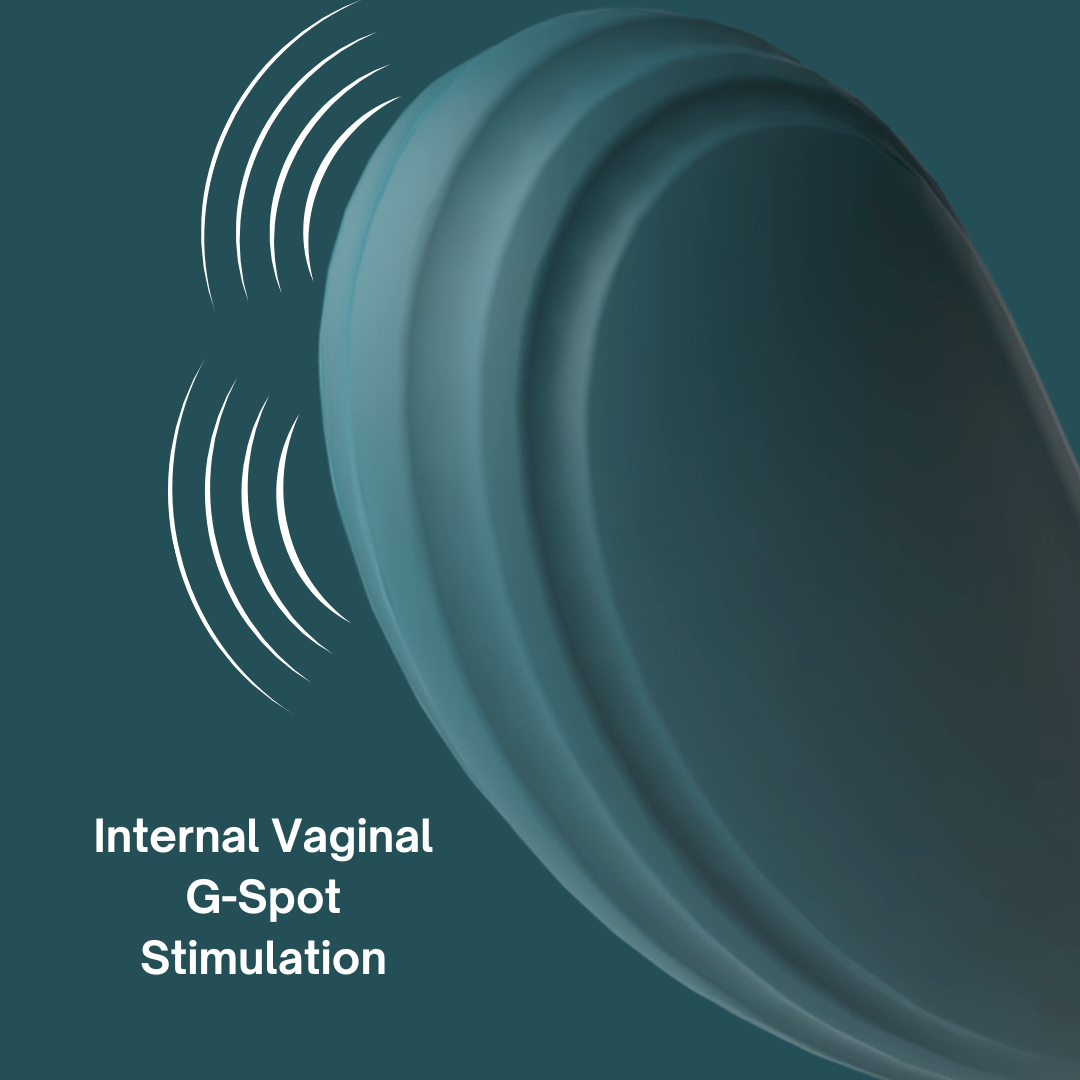 Pulse Lick Dildo Vibrator
